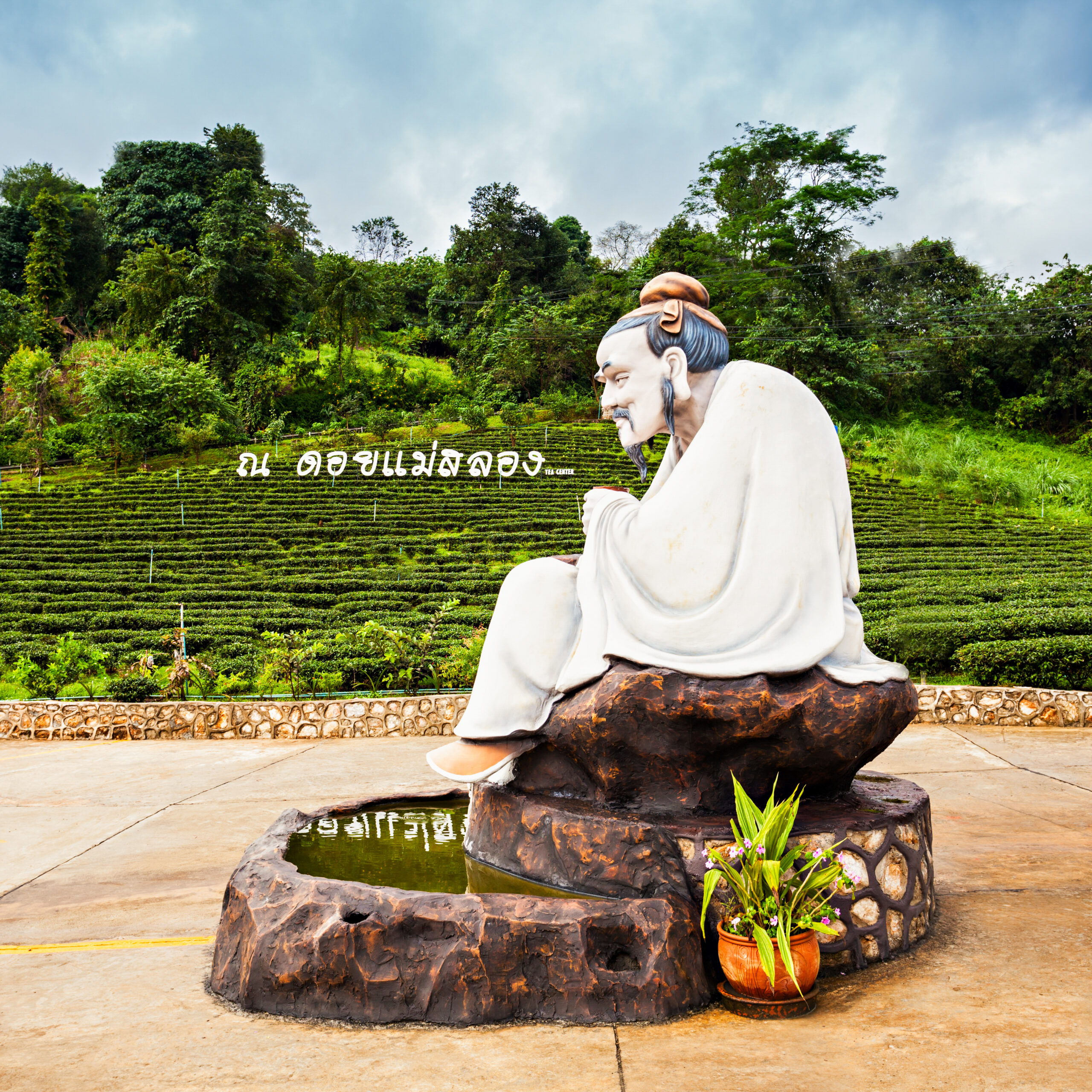 MAE SALONG, THAILAND - NOVEMBER 04, 2014: Tea Center in Mae Salong, Northern Thailand.