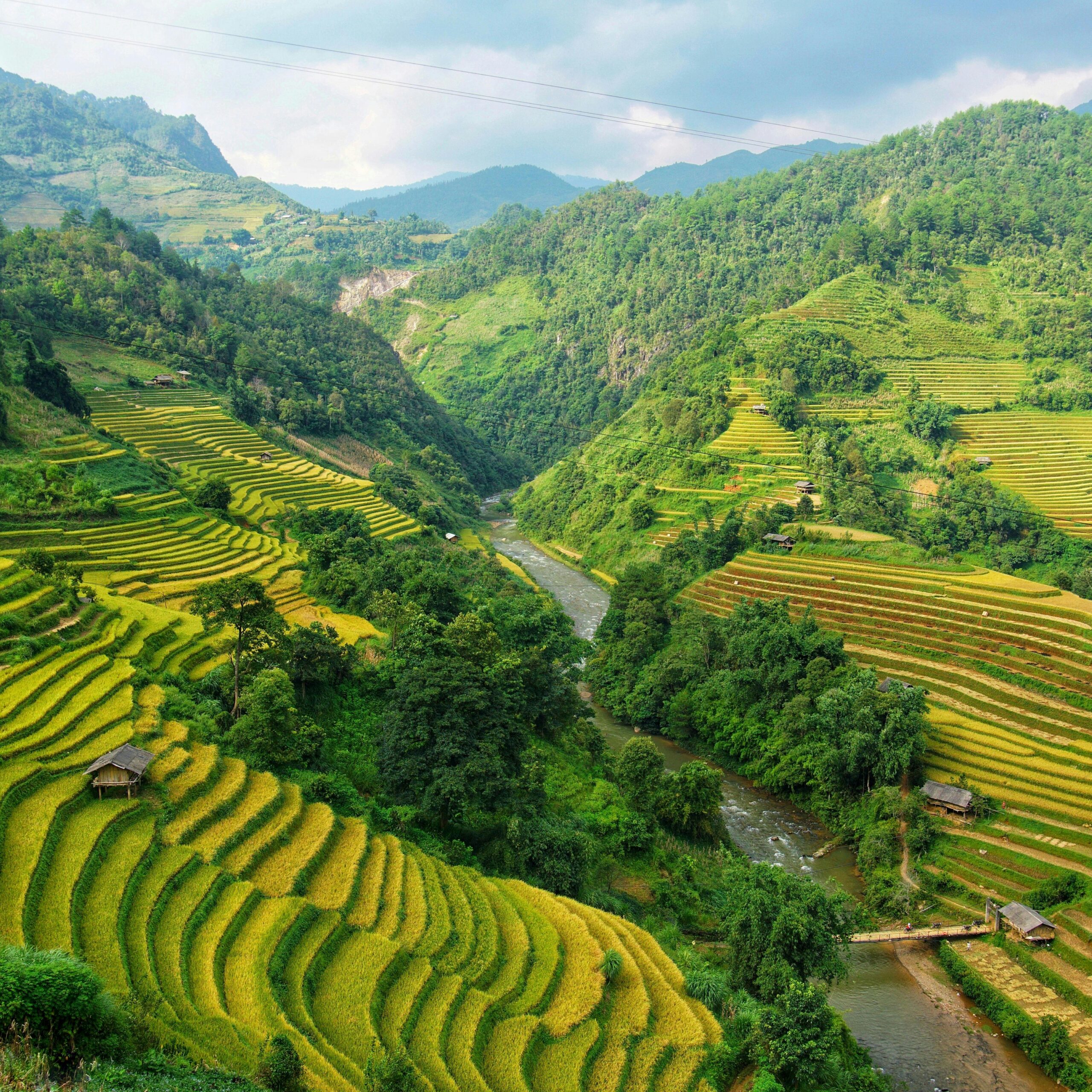 scenic-view-rice-paddy-with-landscape