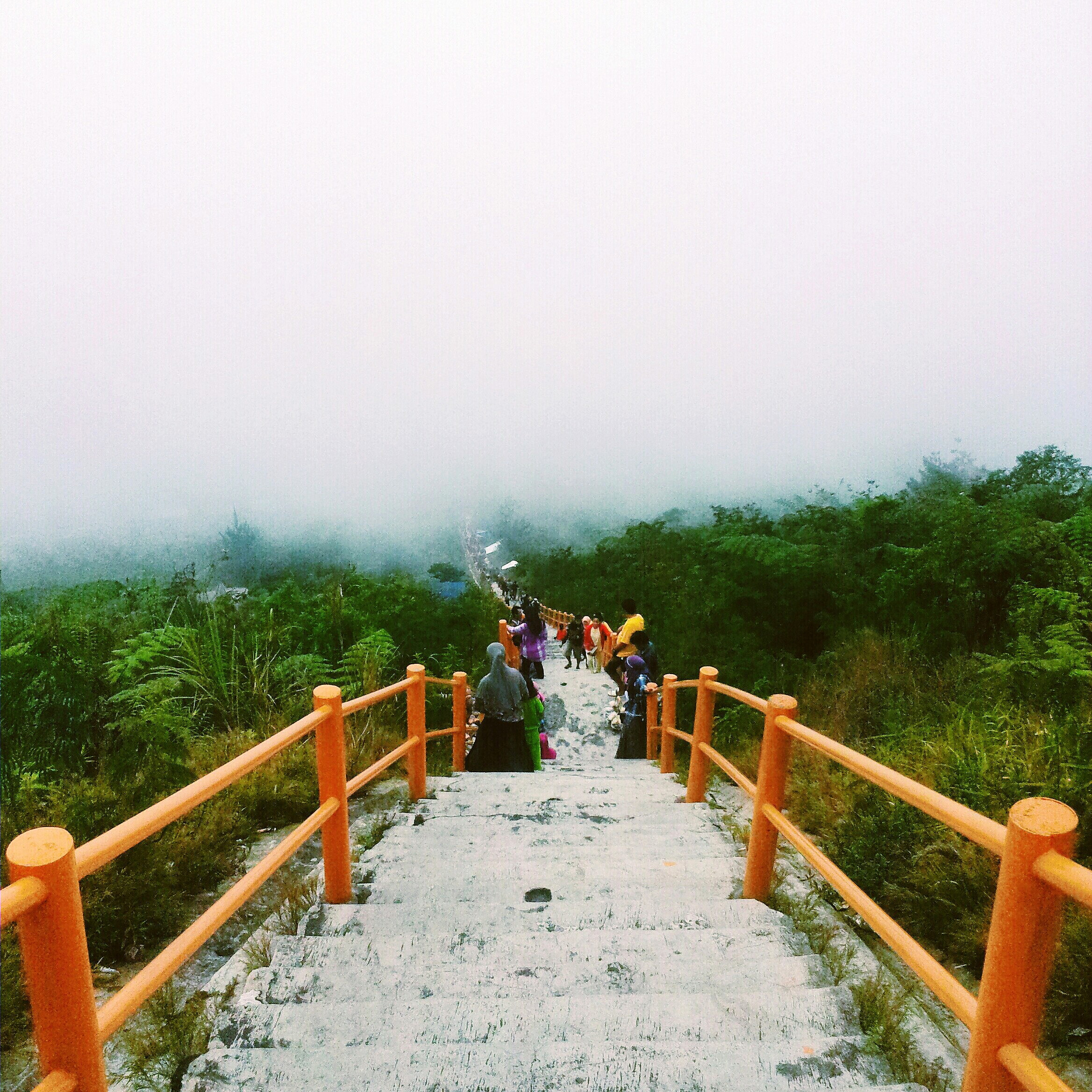 stairway-with-people-through-forest